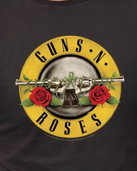 GUNS AND ROSES
